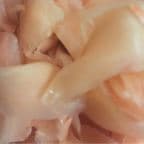 Best Ginger in Deptford, NJ