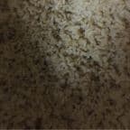 Best Brown Rice in Deptford, NJ