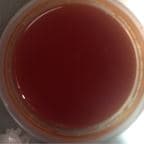 Best Sweet Sour Sauce in Deptford, NJ